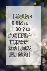 总投资30.8亿元！30个重点项目落户甘肃崇信 驱动县域发展加速跑